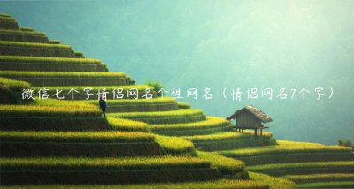 ​微信七个字情侣网名个性网名（情侣网名7个字）