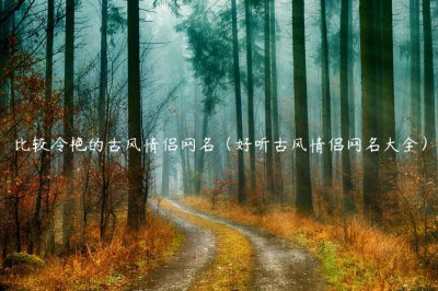 ​比较冷艳的古风情侣网名（好听古风情侣网名大全）
