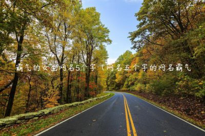 ​霸气的女生网名5个字（网名五个字的网名霸气