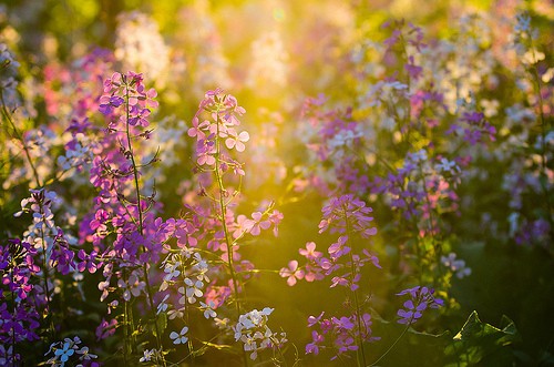 适合做壁纸的情感句子(36句)