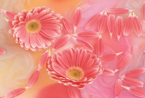 1685554344338918.png image.png