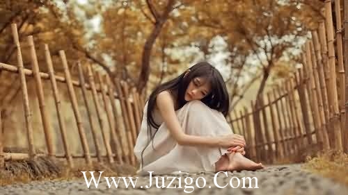 经典的服务团队口号学生团队口号大全(精选24句)