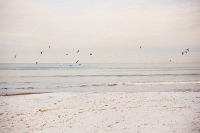 ​形容计划赶不上变化的句子(27句)