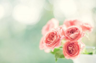 ​不再委曲求全的语录(55句)