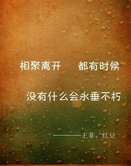 20条唯美爱情语录短句