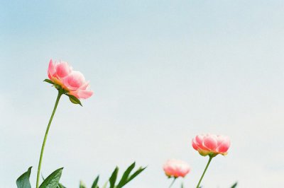 ​2023中国加油武汉加油句子抗击肺炎温馨语句(精选55句)