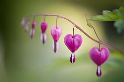 ​双十一光棍节调侃幽默句子(60句)
