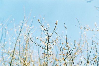 ​龙族2名言70句