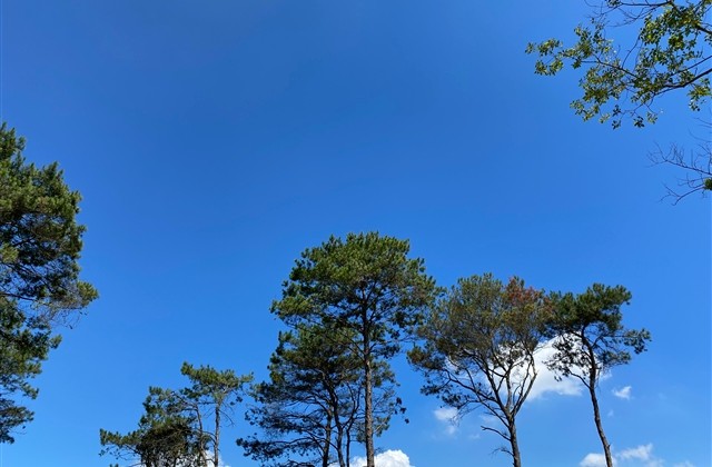 比较悲伤的微信名 比较悲伤的微信名