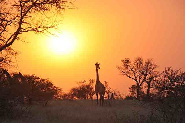 描写长大的优美句子