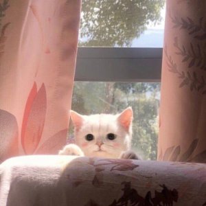 ​早安说说唯美(早安句子)