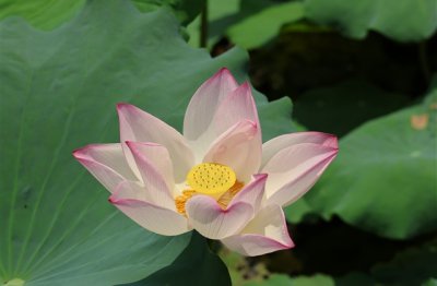 ​qq飞车超拽网名(共141个)