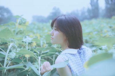 ​描写樱花的伤感句子