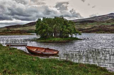 ​白茶清欢无别事，我在等风也等你