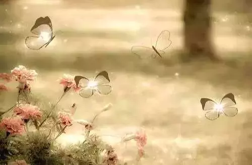 伤感句子,亏欠 . 亏欠一生伤感句子