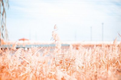 ​五一劳动节短句 五一劳动节句子