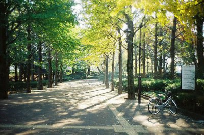 ​非主流阳光女生个性签名(50句)