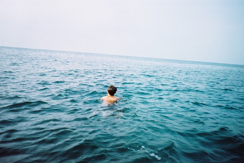 关于有鸟的谚语50句