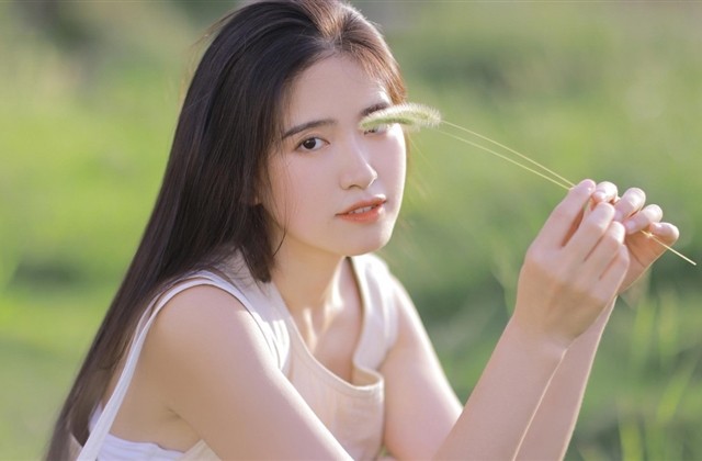 带蝴蝶字的网名唯美