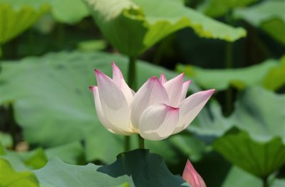 ​非主流伤感男生网名大全(138个)