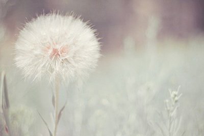 ​歇后语大全水仙不开花23句