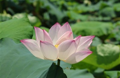 ​令人眼前一亮沙雕网名(316个)