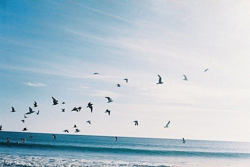 写山美的比喻句16句