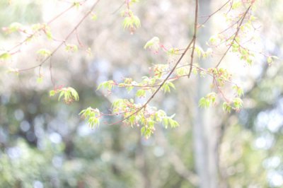 ​写友谊的比喻句16句