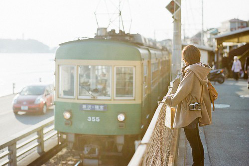 形容树木的谚语67句