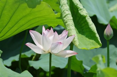 ​敲好听四个字网名女生精选45个
