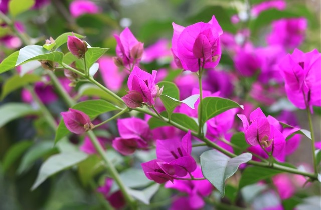 90后微信个性情侣网名(优选168个) 90后微信个性情侣网名(优选168个)
