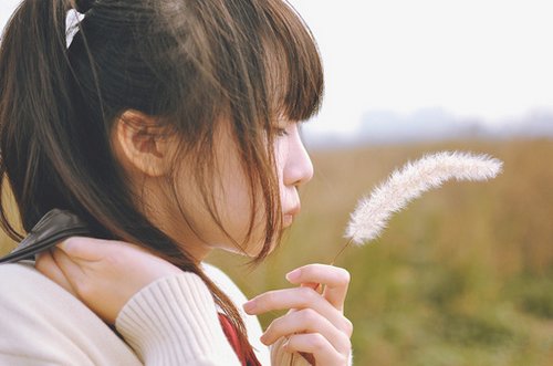 红楼梦歇后语大全36句