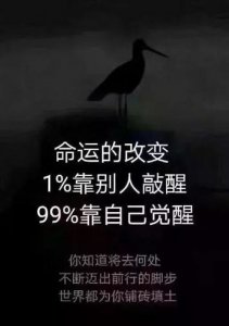 ​比较火的励志语录 经典的励志语句都有哪些？
