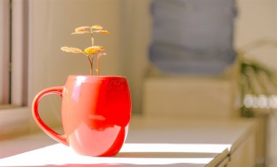 ​100句简短的正能量