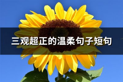 ​三观超正的温柔句子短句(精选102句)
