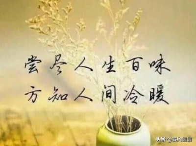 ​人世间的冷暖句子（人生冷暖的四段经典美句）