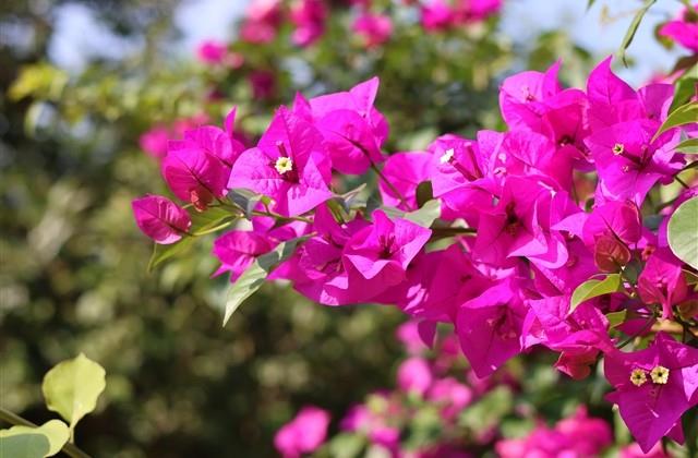 伤感四个字的网名(142个) 伤感四个字的网名(142个)