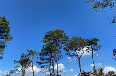 ​七雄争霸联盟名字(184个)