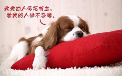 ​祝福端午节的优美句子