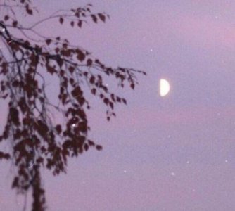 ​幸福优美句子摘录99条