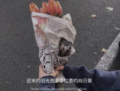 ​表白英文句子加翻译