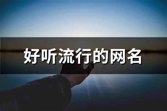 好听流行的网名(110个)