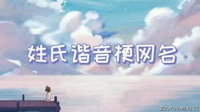 ​姓氏谐音梗网名ID大全
