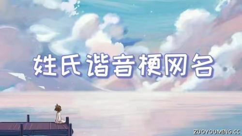 姓氏谐音梗网名