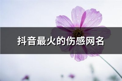 ​抖音最火的伤感网名(共597个)
