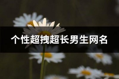​个性超拽超长男生网名(404个)