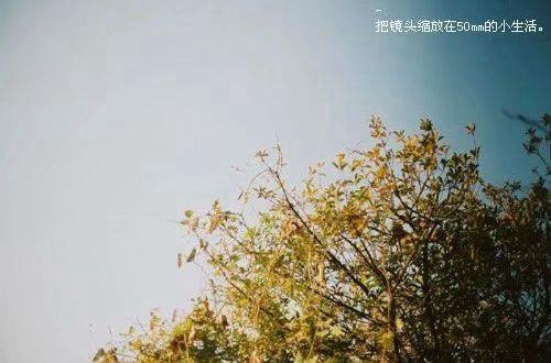 【必备】表白句子汇编94条