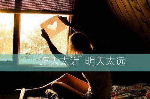 【热门】花的优美句子摘录35条