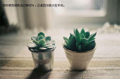 ​抖音一发就会被秒赞的句子2025(精选76句)