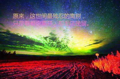 ​爱情优美句子摘录75条